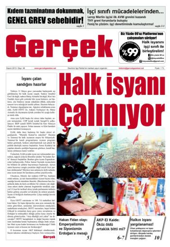 Gerçek Sayı 49 - Kasım 2013