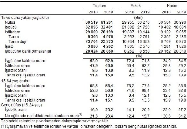 TÜİK istihdam