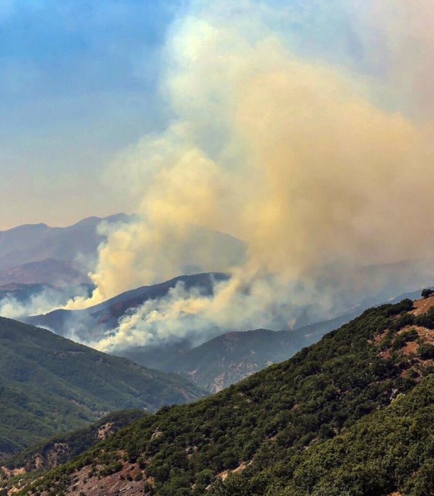 O orman bizim ormanımızdır.