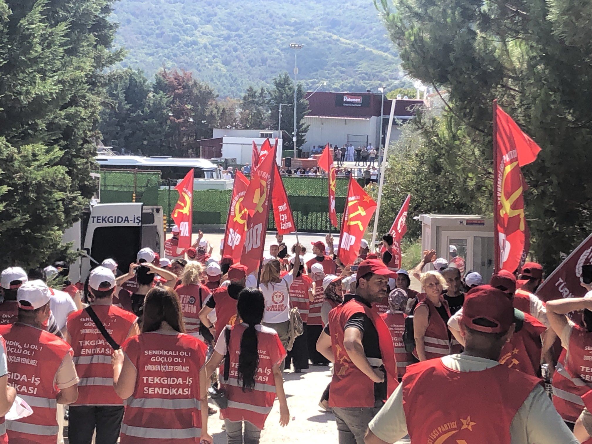 Polonez işçisinin direne direne zafere yürüyüşü!