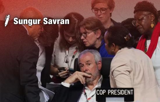 Burjuva ekolojik dönüşümünün ötanazisi