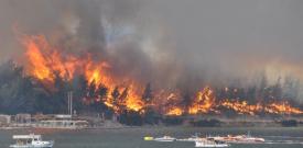 Orman yangınları: Millete felaket, birilerine fırsat!