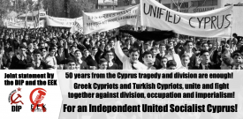 dip eek joint statement cyprus 50