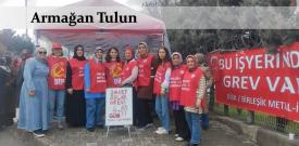 Güneş panellerden değil, grev çadırından yansıyor