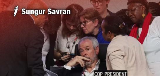 Burjuva ekolojik dönüşümünün ötanazisi