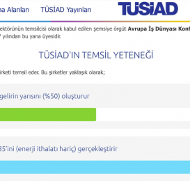 TÜSİAD kimdir, neyi savunur?