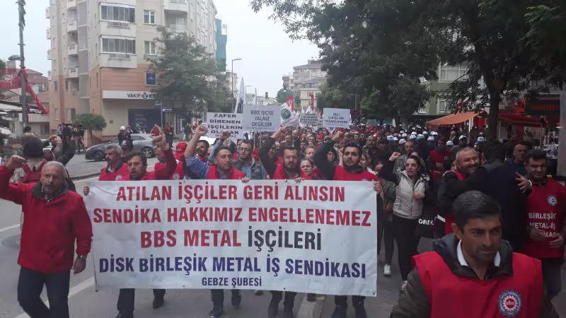 bmis1.jpg