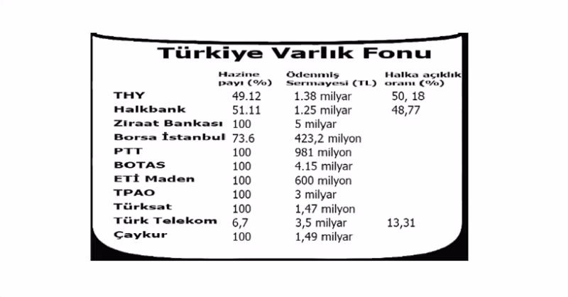 varlikfonu.png