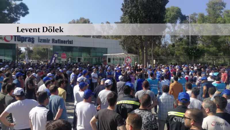 leventkose.jpg