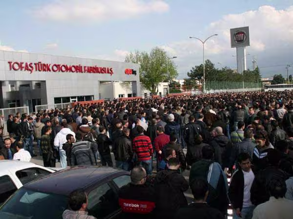 tofas.jpg