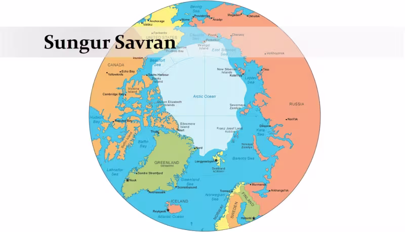 sungursavran.jpg