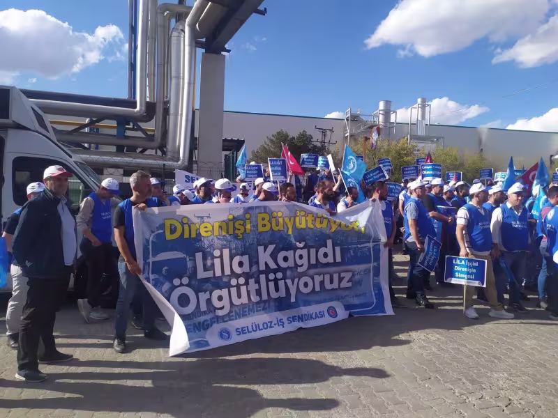 lila-kagit-foto-3.jpg