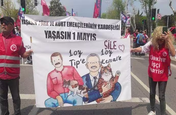 solelestiri1.jpeg
