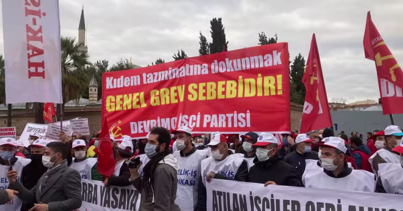 kidem2.jpeg