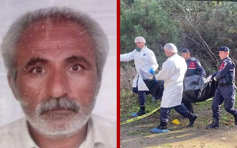 nurtani.jpg