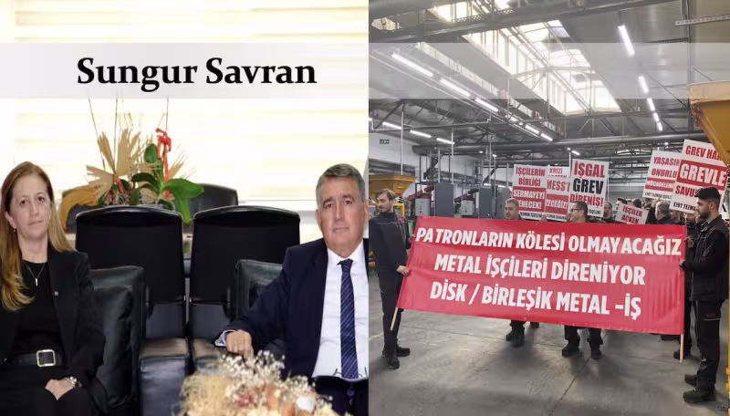 sungursavransubat2024.png