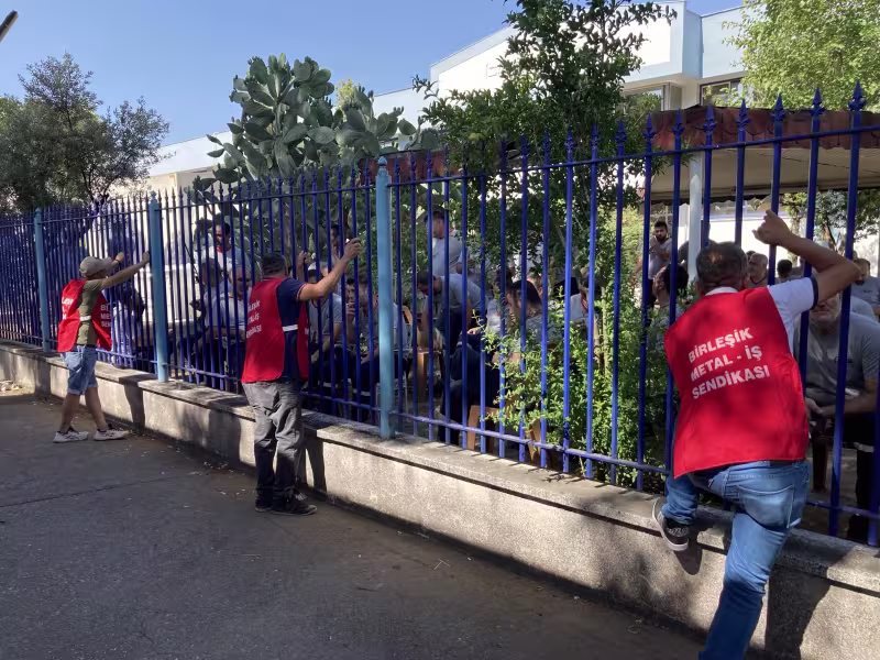 03klas1.jpeg