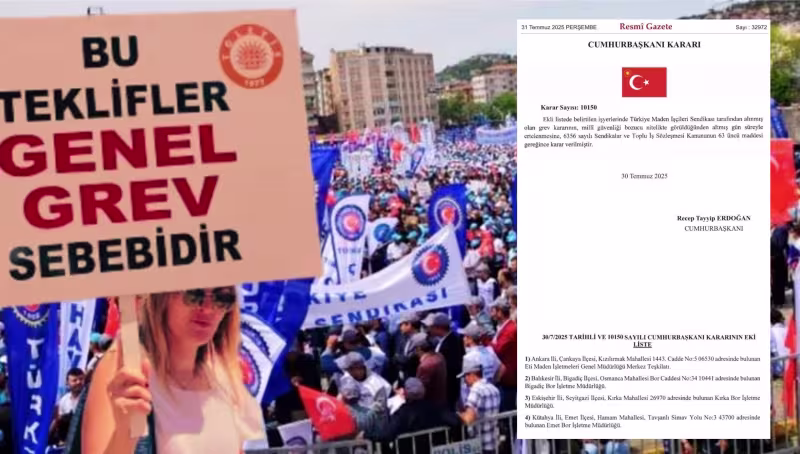 kamuiscisi.jpg