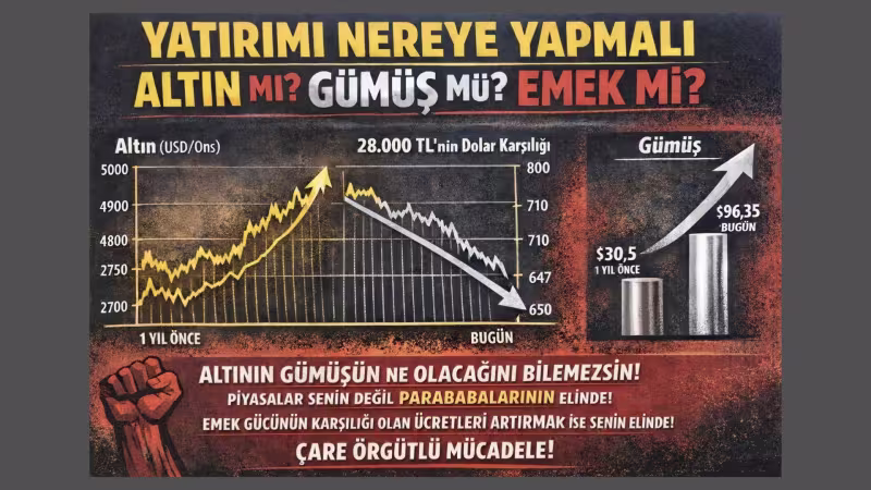 altin.jpeg