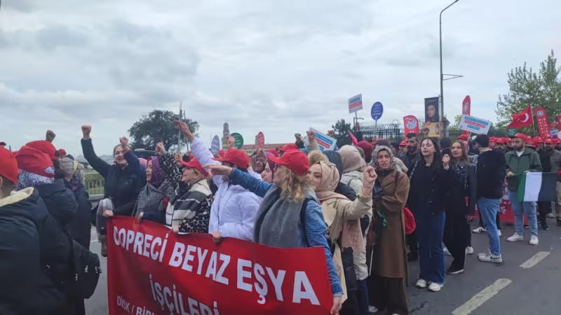 dilovasicioreci.jpg
