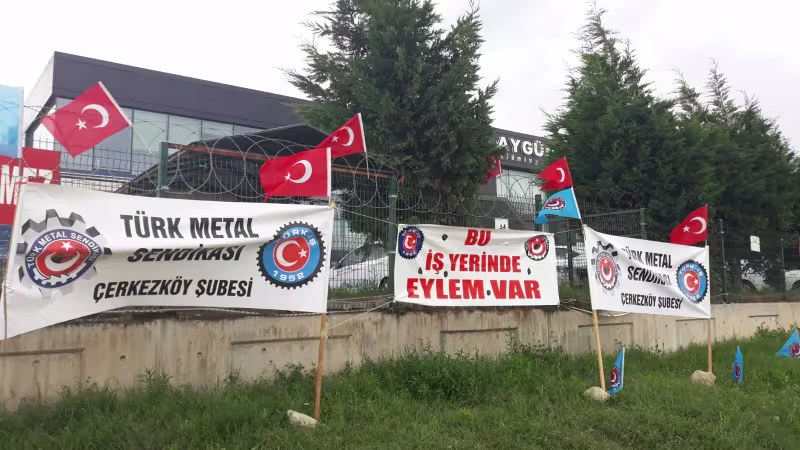 ayguneylem.jpg