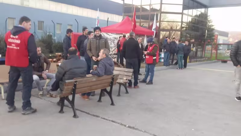 bekaert1.jpg