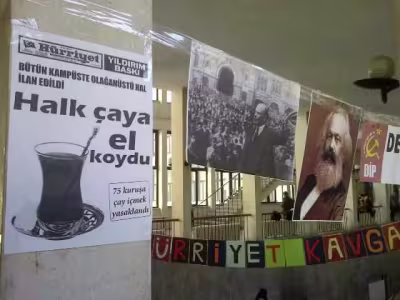 cay5.jpg
