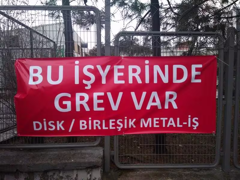 grevpankarti.jpg