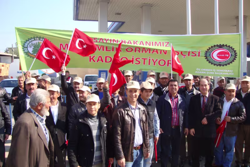 orman_iscisi.jpg