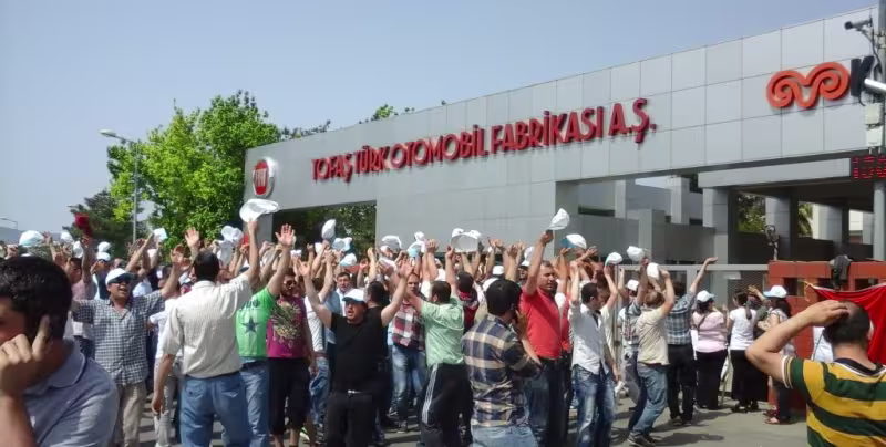 tofas2-1024x768.jpg