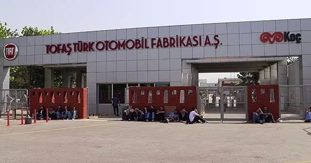 tofas.jpg