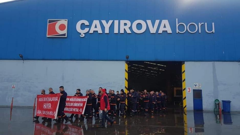 çayırova