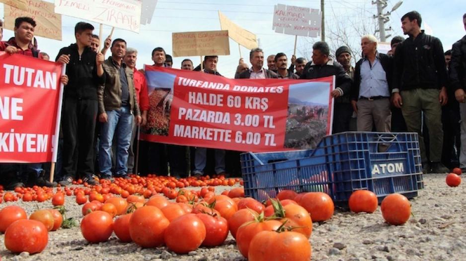 Emekçi halkın cebini ve çiftçiyi korumanın tek yolu kamulaştırma!