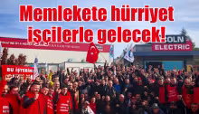 Başyazı: Ekmeğin kokusu 