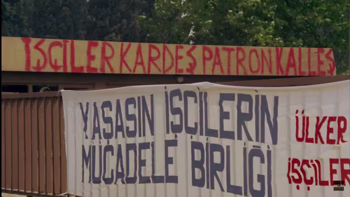 tofaskibarfeyzo.jpg
