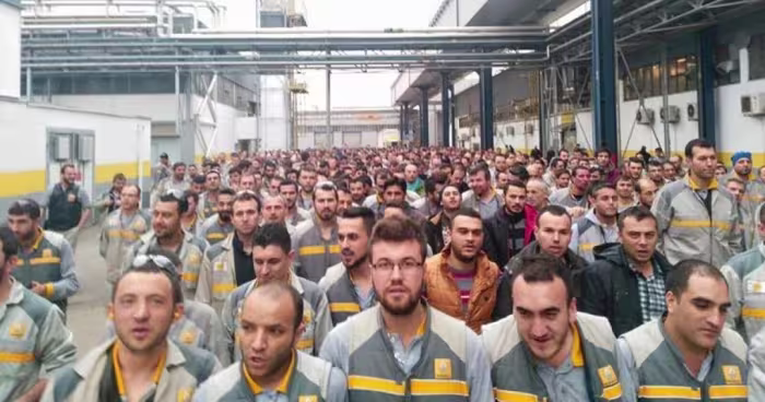 oyakrenault.jpg