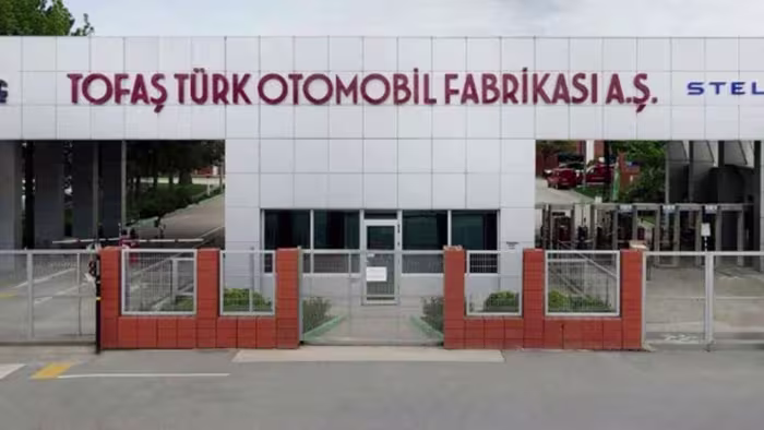 tofas.jpg