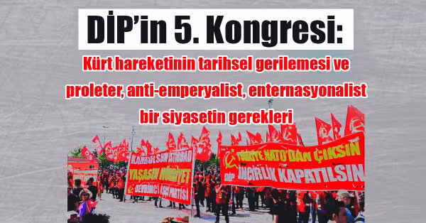 dip5k-66.jpg