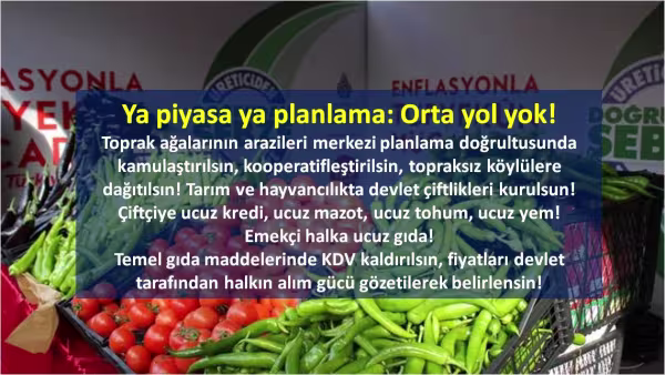 tanzimsatis.jpg