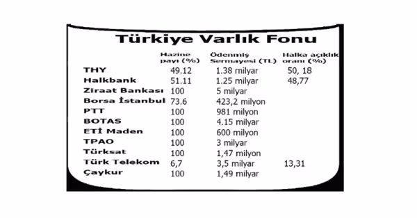 varlikfonu.png