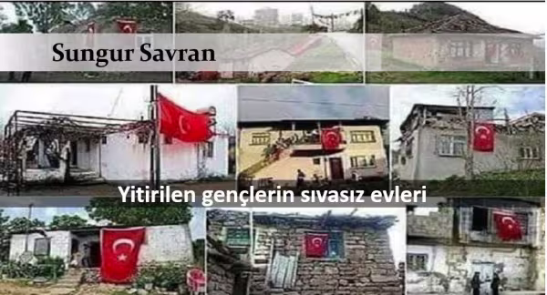 sungursavrankose.jpg