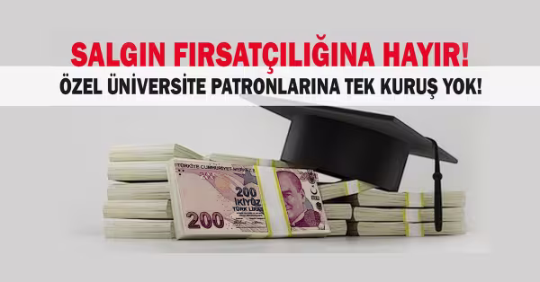ozeluni20.jpg