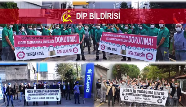 dipbildirisitorbayasa.jpg