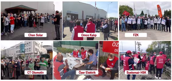 orgutlen2.jpg