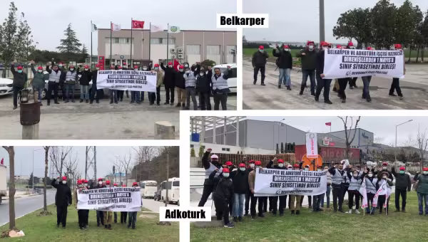 belkarperveadkoturk.jpg