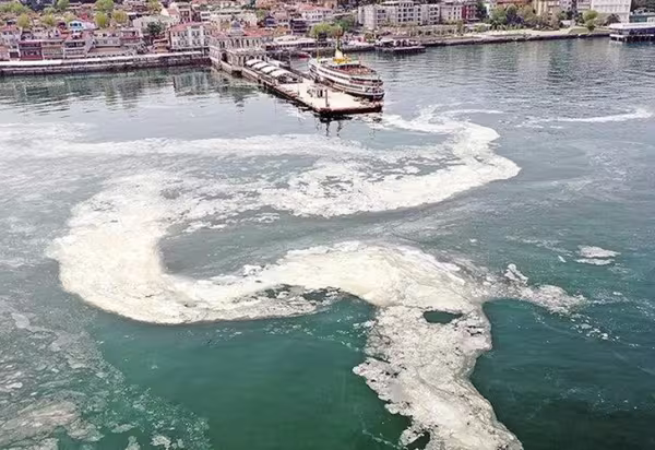 denizsalyasi.jpg