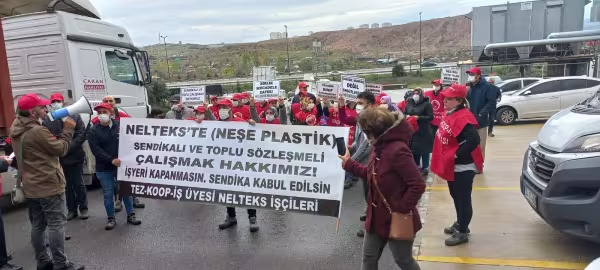 nelteks.jpg