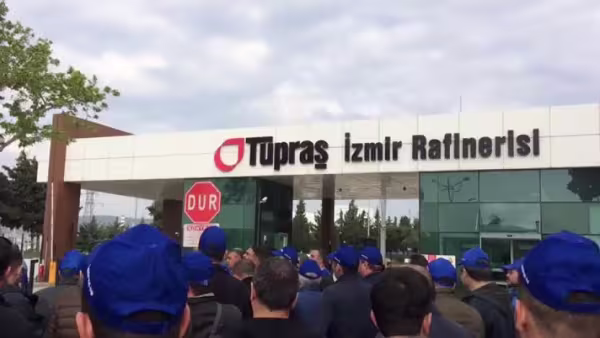 d4lig2hxoaazsro.jpg