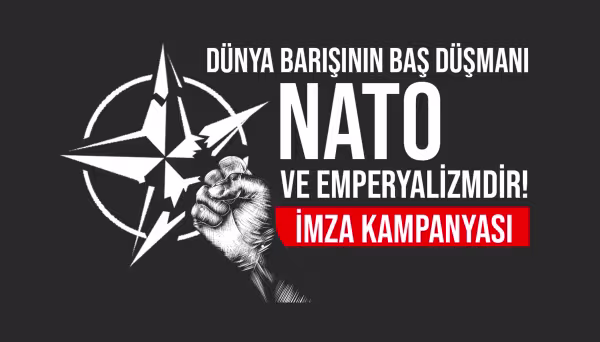natokarsitiimzakampanyasi.png
