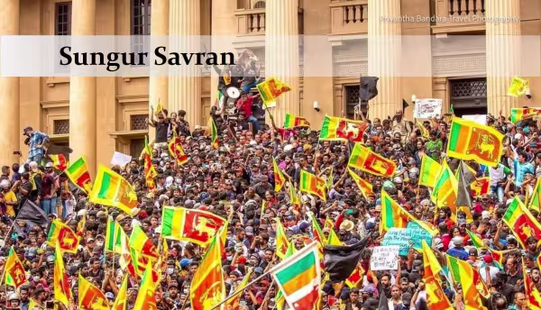 sungursavransrilanka.jpg